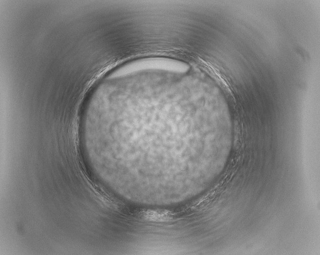 X0000115530346200912181531