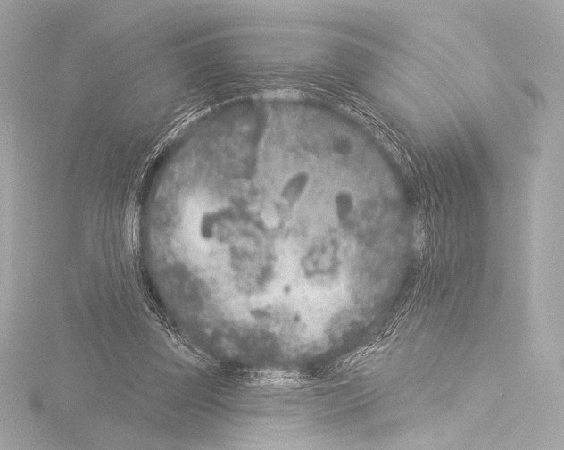 X0000115530347200912181531