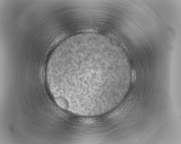 X0000115530349200912181531