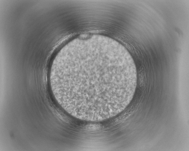 X0000115530350200912181531