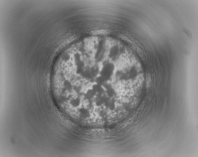 X0000115530353200912181531