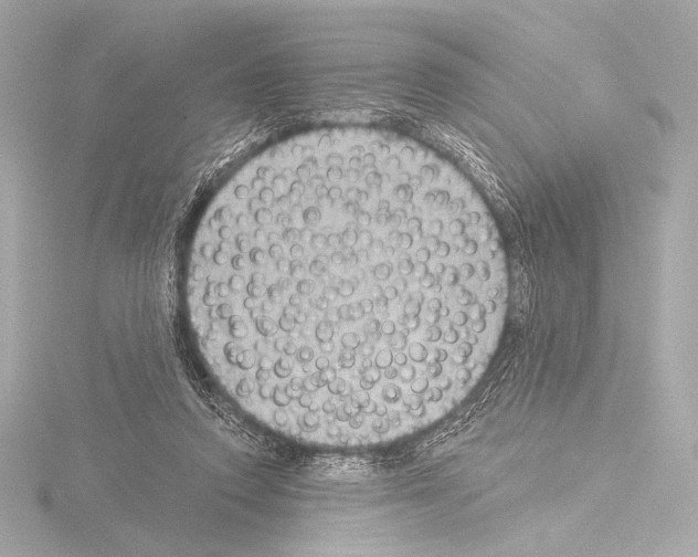 X0000115530354200912181531