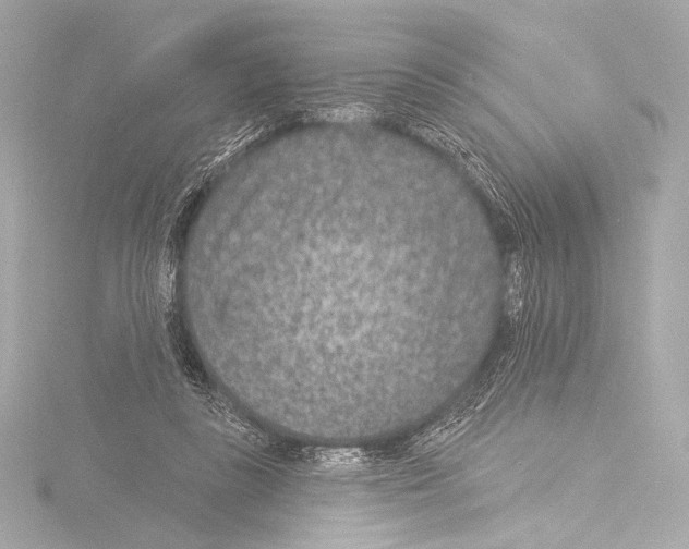 X0000115530355200912181531