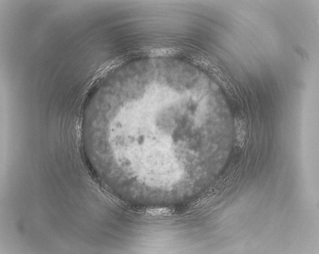 X0000115530357200912181531