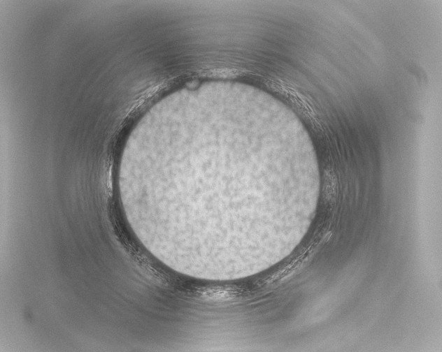 X0000115530358200912181531