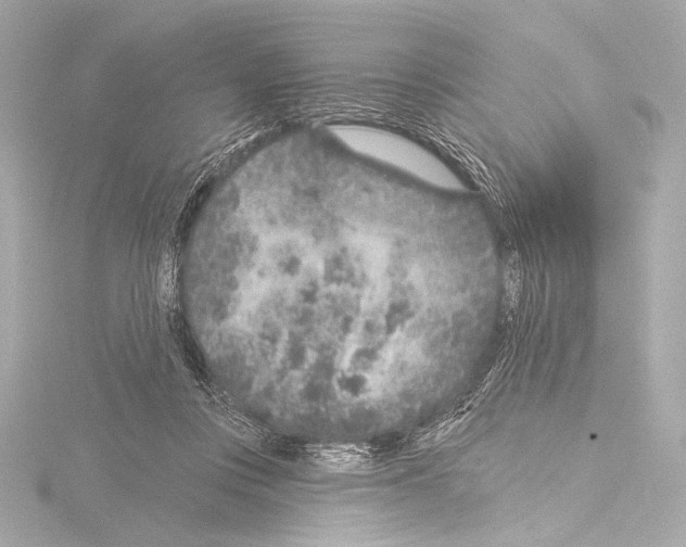 X0000115530359200912181531