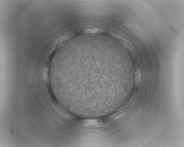 X0000115530361200912181532