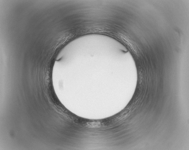 X0000115530362200912181532