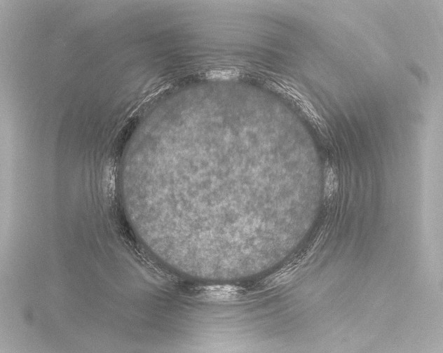 X0000115530363200912181532