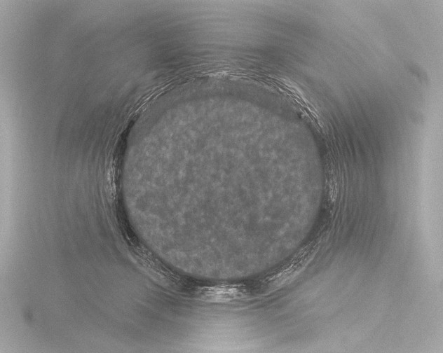 X0000115530366200912181532