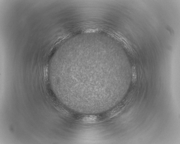 X0000115530369200912181532