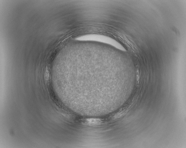 X0000115530371200912181532