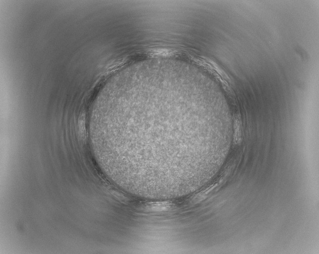 X0000115530377200912181532