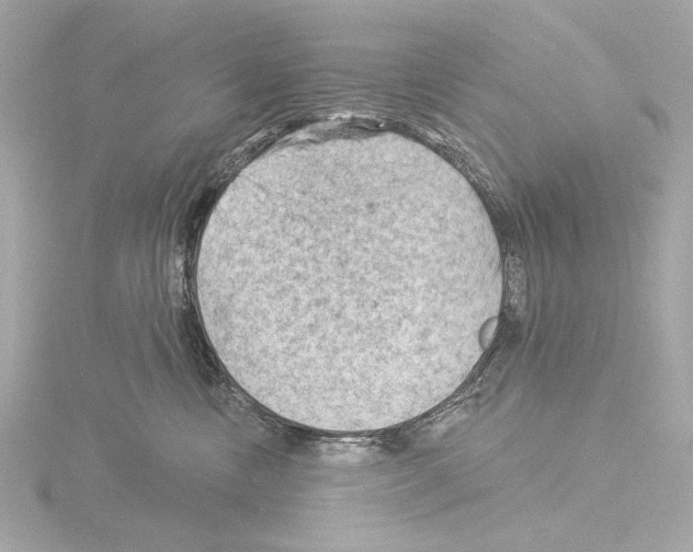 X0000115530378200912181532