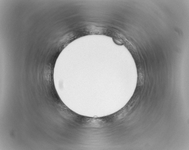 X0000115530379200912181532