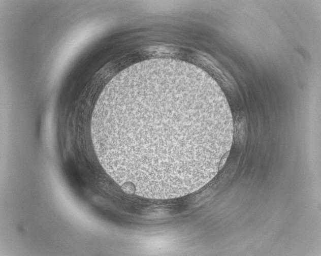 X0000115530381200912181532