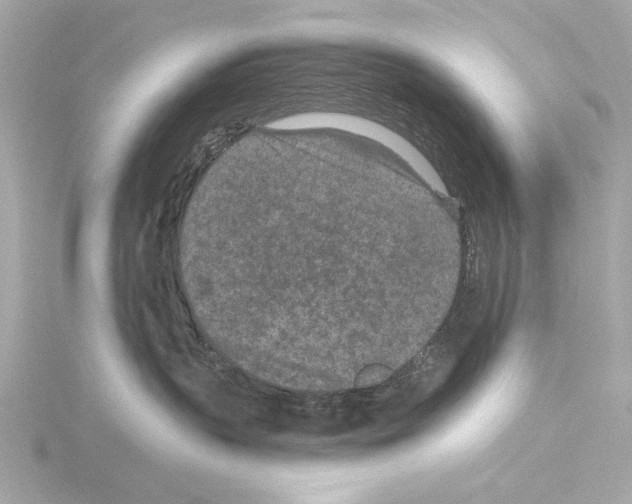 X0000115530383200912181532