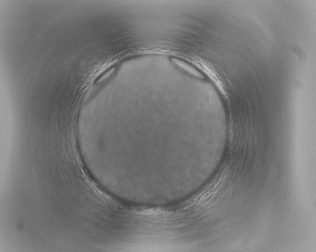 X0000115530385200912181531