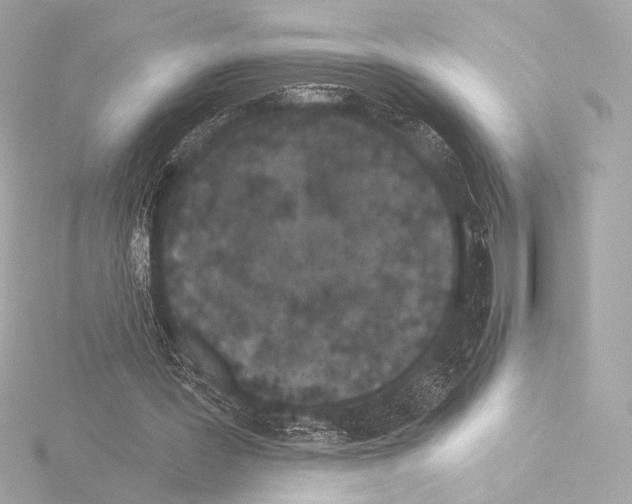 X0000115530387200912181531