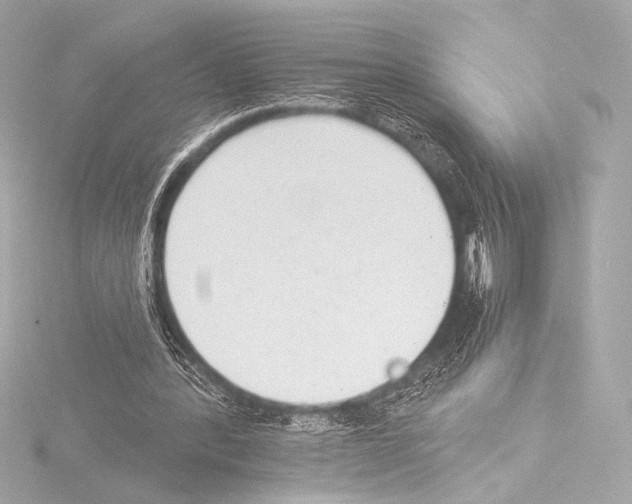 X0000115530388200912181531