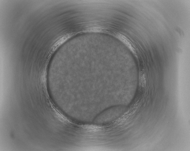 X0000115530389200912181531