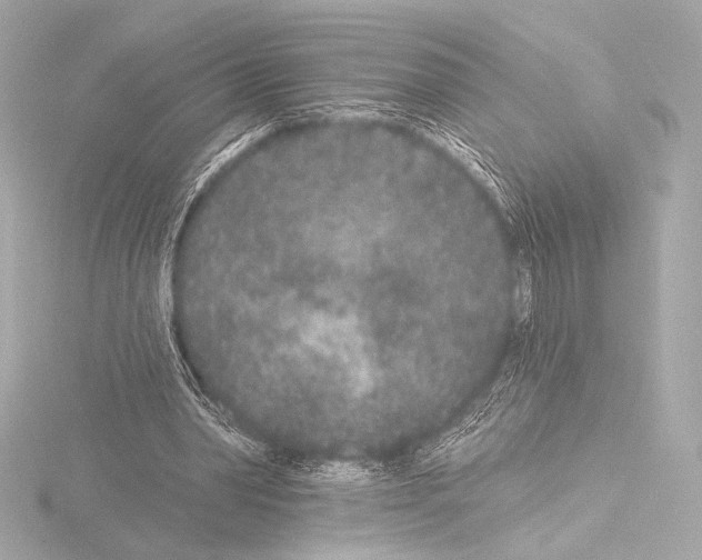 X0000115530390200912181531