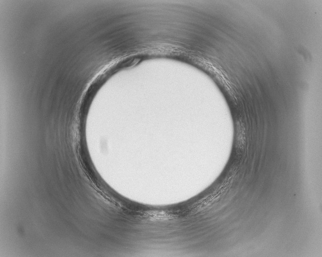 X0000115530392200912181531