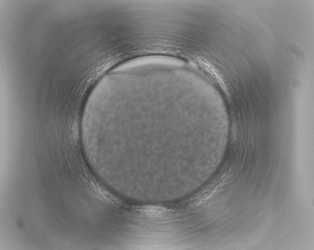 X0000115530393200912181531