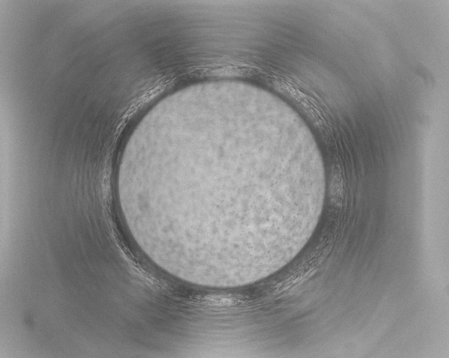 X0000115530394200912181531