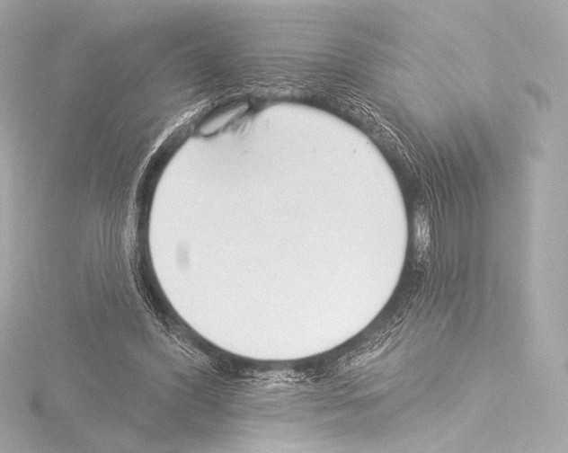 X0000115530396200912181531