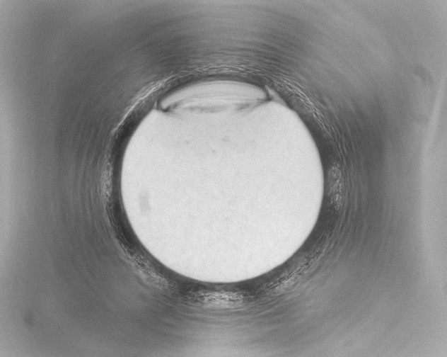 X0000115530400200912181531