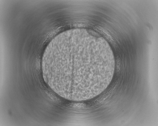 X0000115530401200912181531