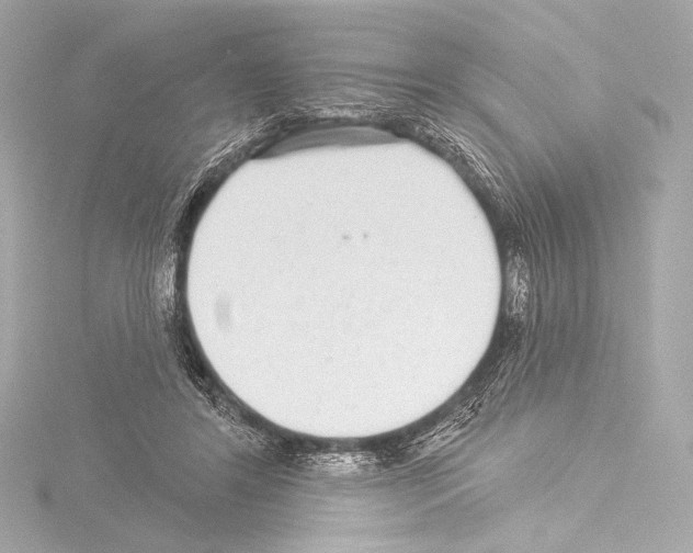 X0000115530404200912181531