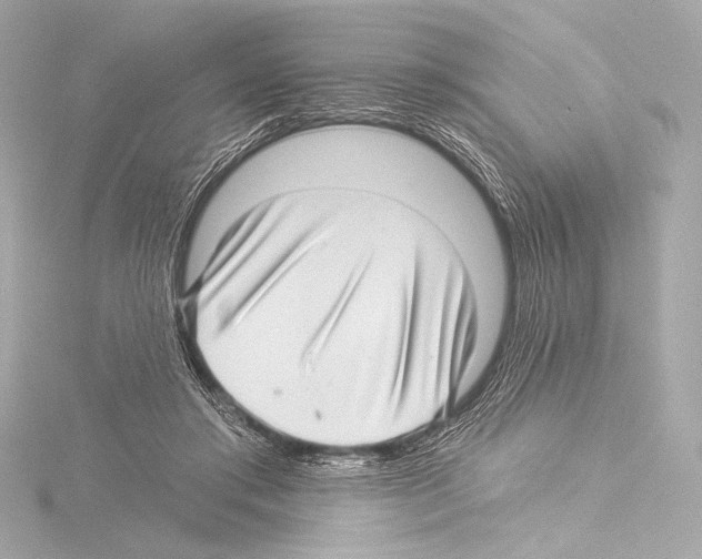 X0000115530405200912181531