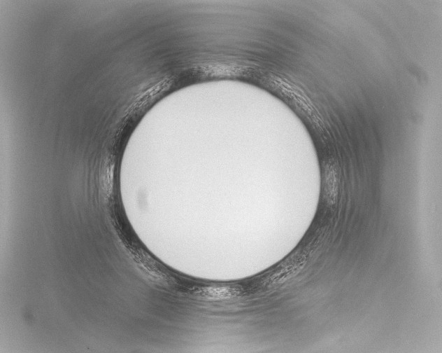 X0000115530406200912181531