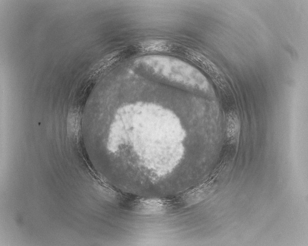 X0000115530409200912181531