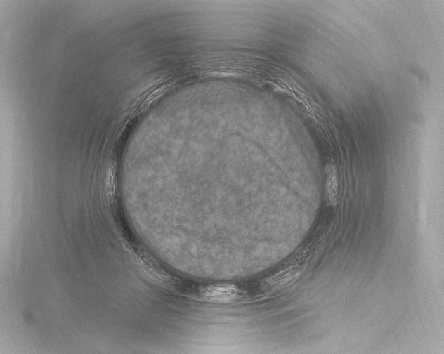 X0000115530410200912181531