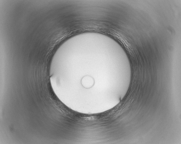 X0000115530411200912181531