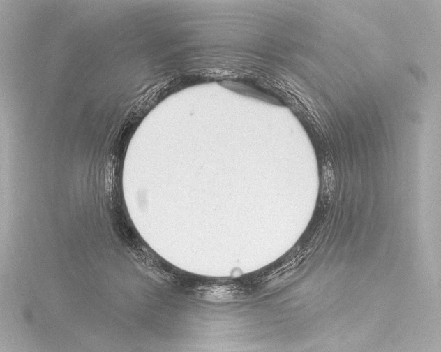 X0000115530412200912181531