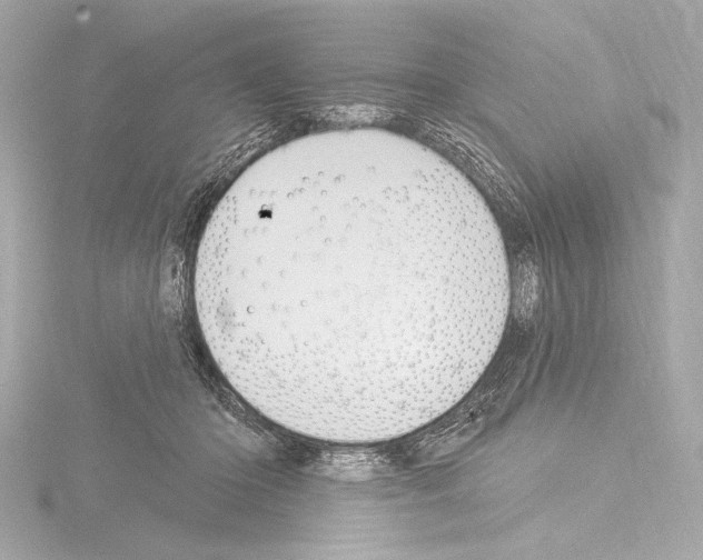 X0000115530414200912181531