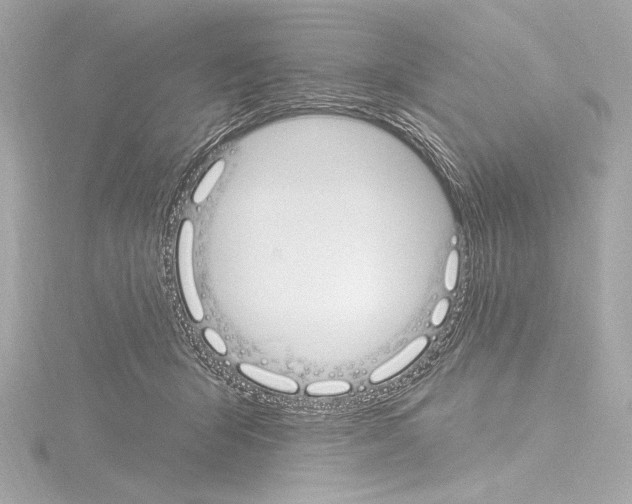 X0000115530415200912181531