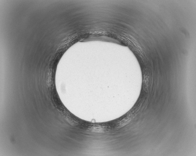 X0000115530416200912181531