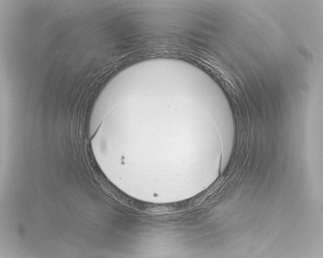 X0000115530417200912181531