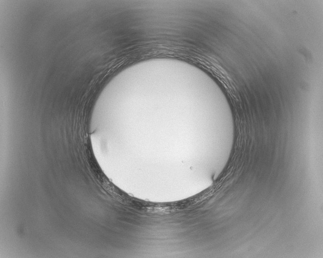 X0000115530419200912181531