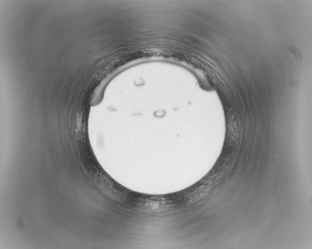 X0000115530420200912181531