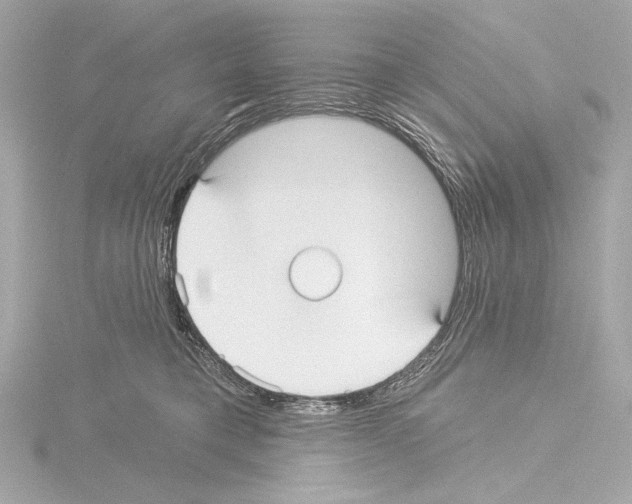 X0000115530421200912181531