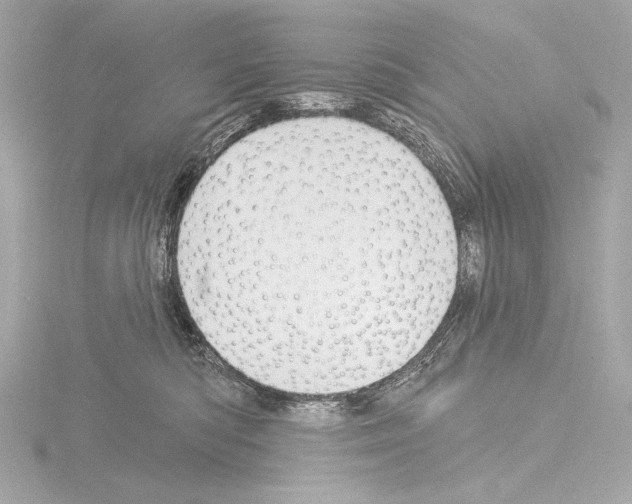 X0000115530422200912181531