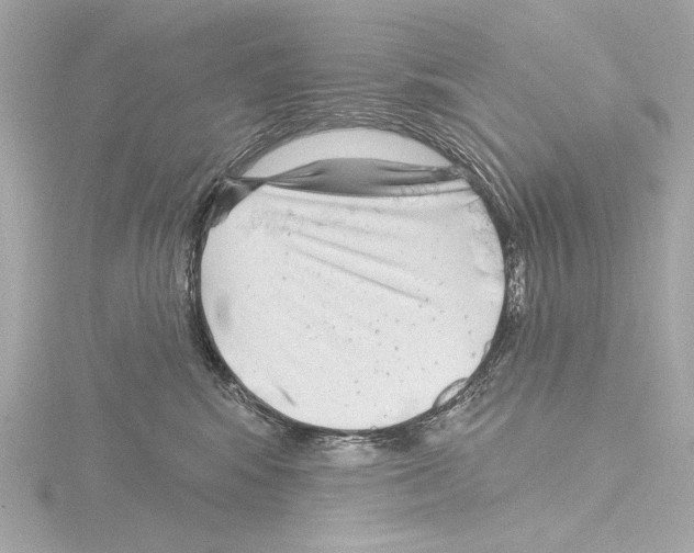 X0000115530424200912181531