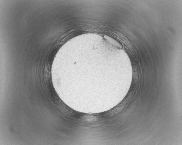 X0000115530425200912181531