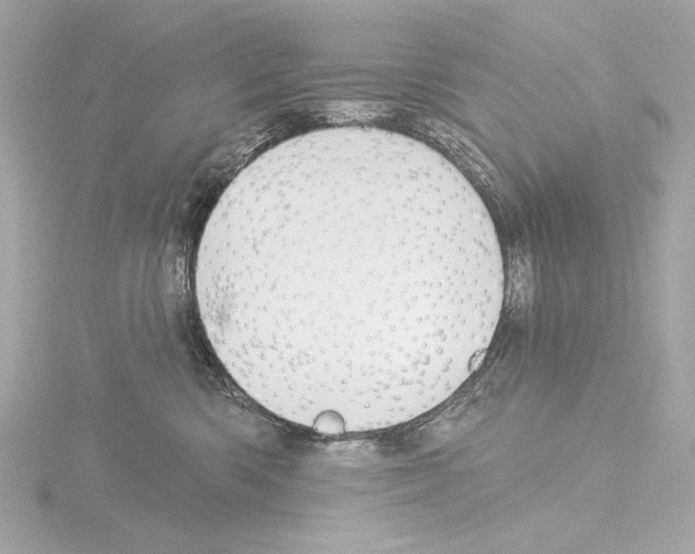 X0000115530426200912181531